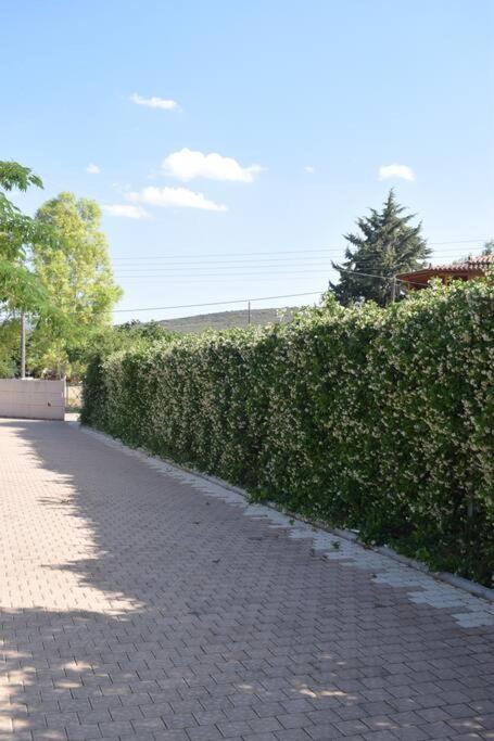 Βίλα Εύη Ligourión Exterior foto